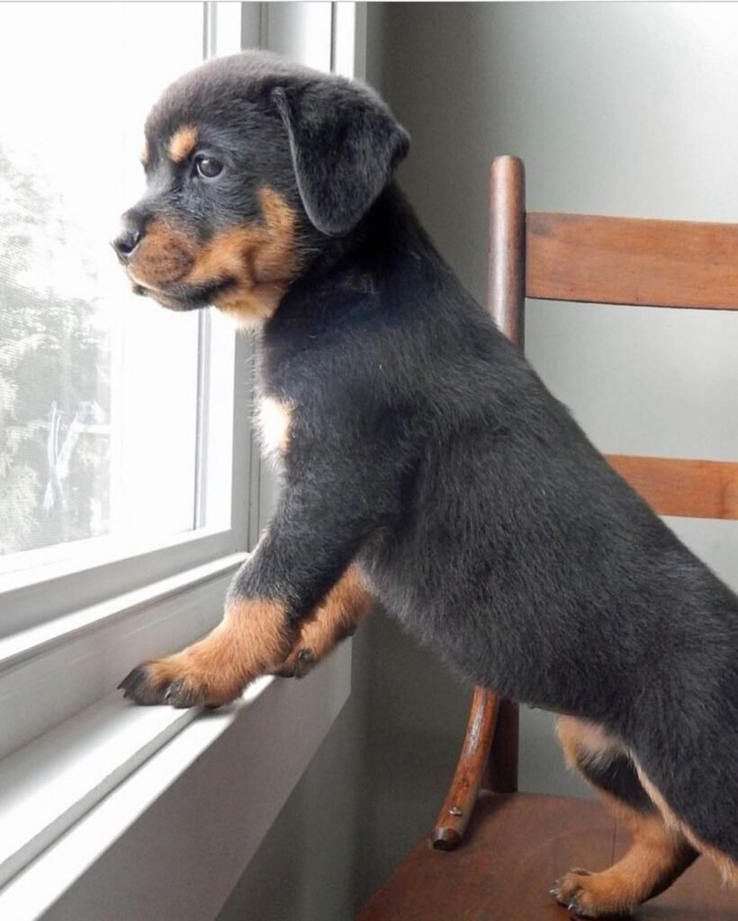 Edna