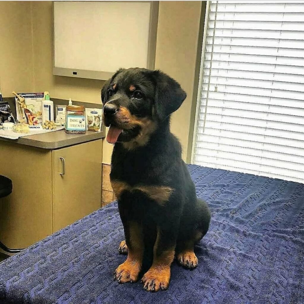 Benny